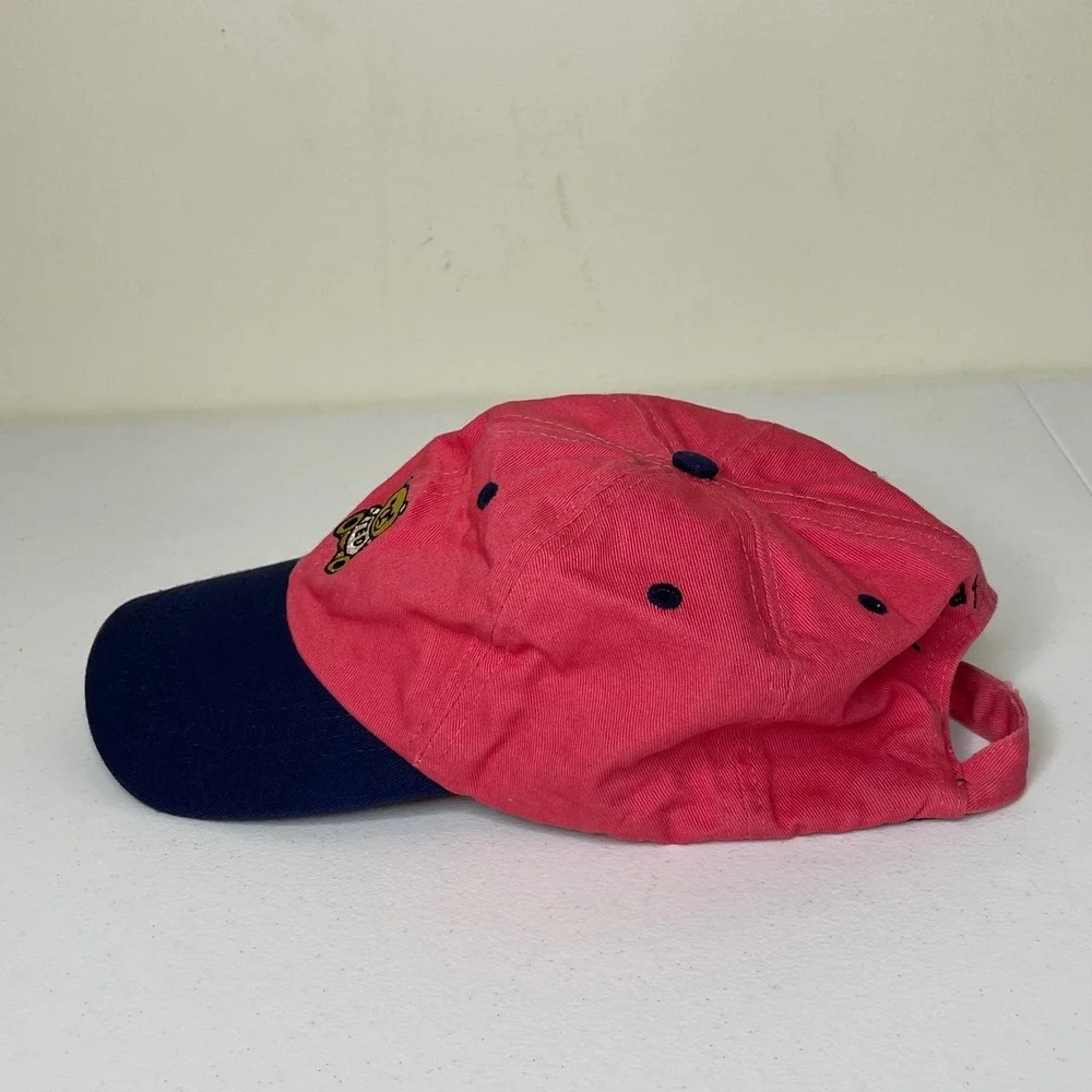 Teddy Fresh Hat Pink Blue Colorblock Baseball‎ Cap Embroidered Bear Adjustable